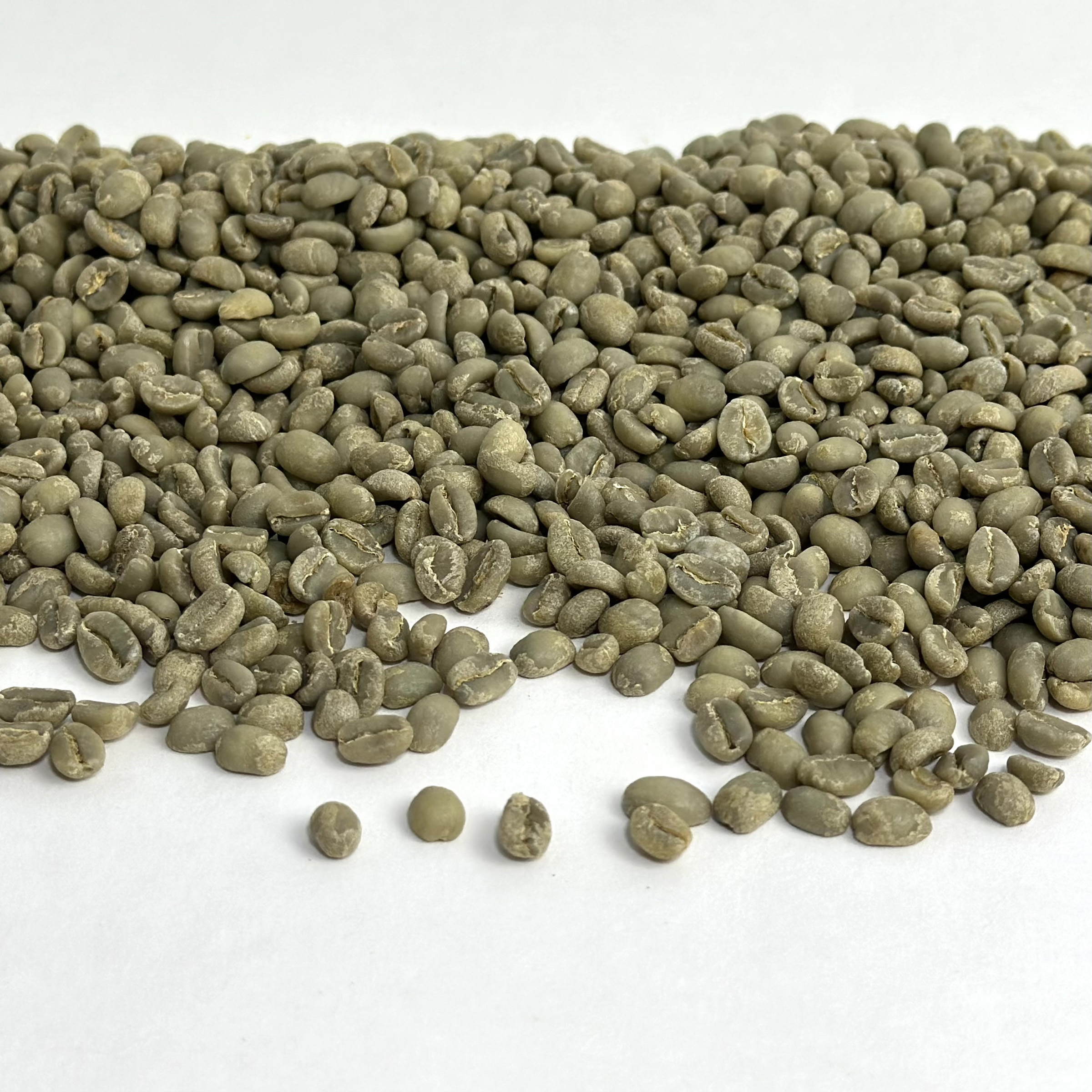 Ethiopia Gedeb Worka Sakaro Washed GR1