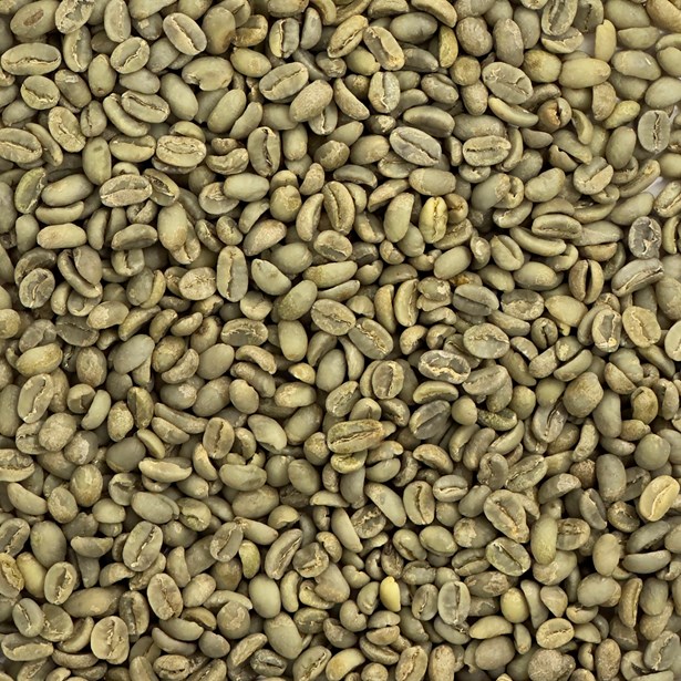 Ethiopian Yirgacheffe