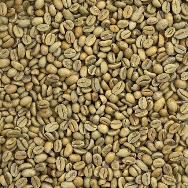 Ethiopia: Misty Valley, Yirgacheffe