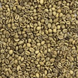 Guatemala Robusta Washed GUATROBUSTA