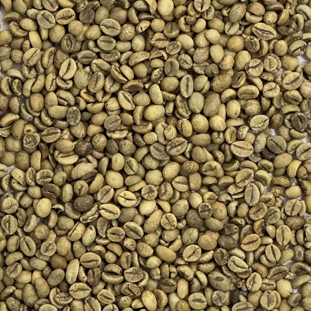 Guatemala Robusta beans 