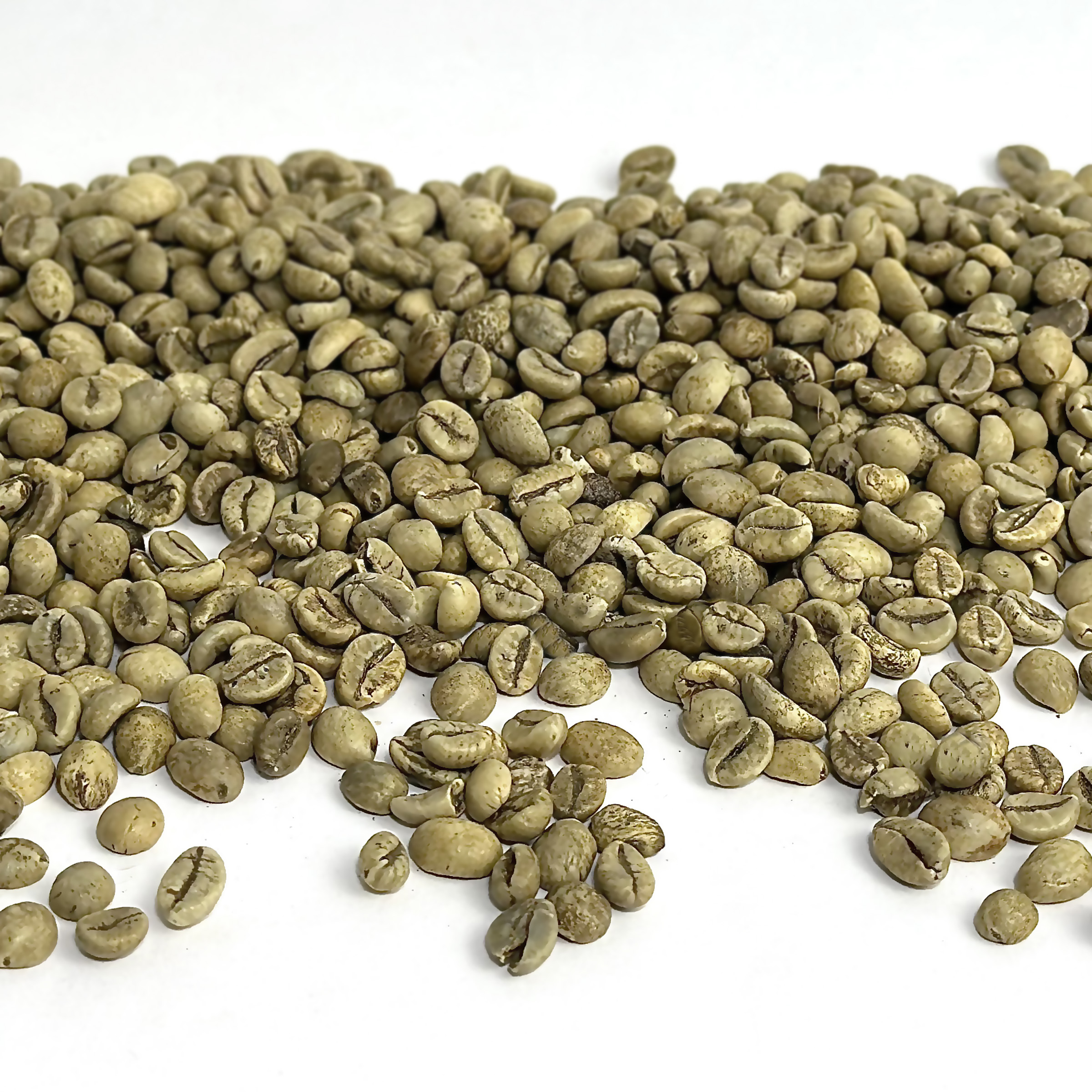 Guatemala Robusta Washed GUATROBUSTA