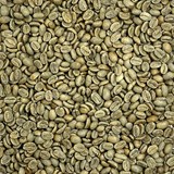 Papua New Guinea Purosa AX Organic