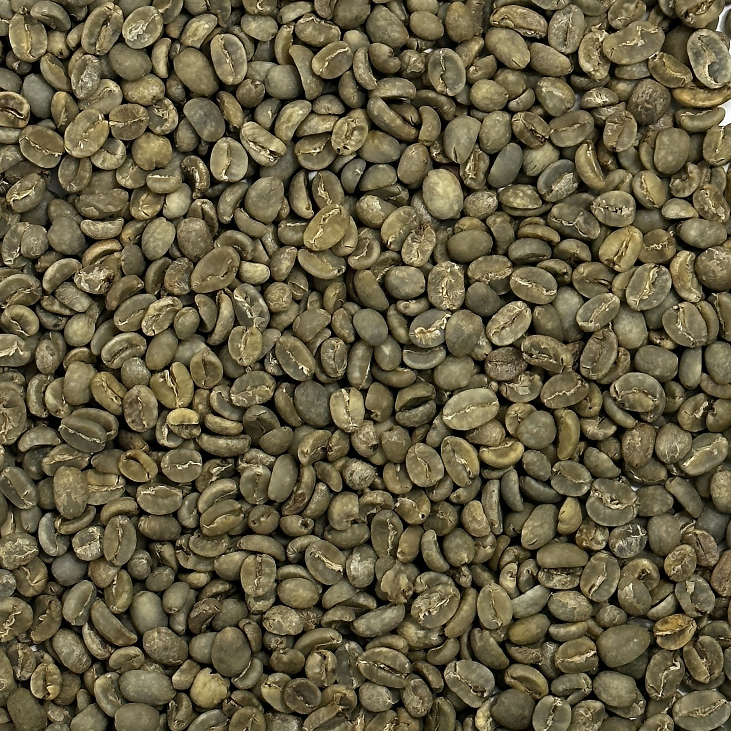 Bali Blue Moon -Organic RFA BaliBeans