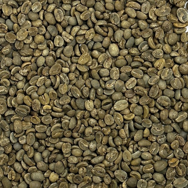 Organic Blue Moon Coffee