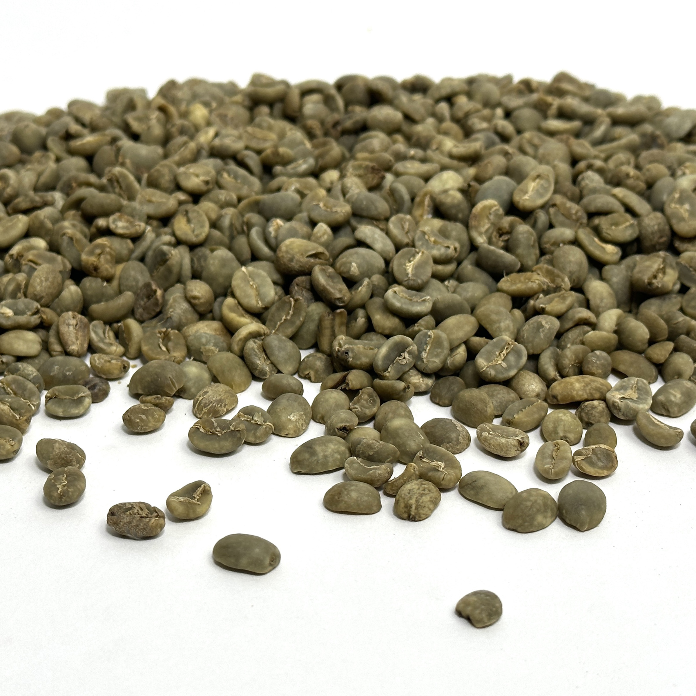 Bali Blue Moon -Organic RFA BaliBeans