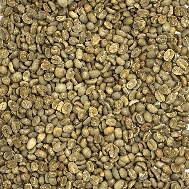 Java Organic Taman Dadar Kayumas unroasted coffee