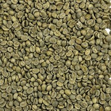 Daterra Estate Sweet Yellow Rainforest DATYELLOW