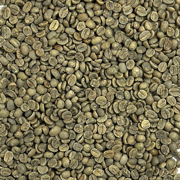 Brazil Sweet Blue Daterra Estate