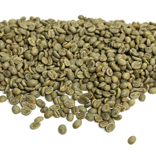 5 LB BRAZIL BRASIL BRAZILLIAN CONILON GREEN UNROASTED RAW COFFEE BEANS -  ROBUSTA