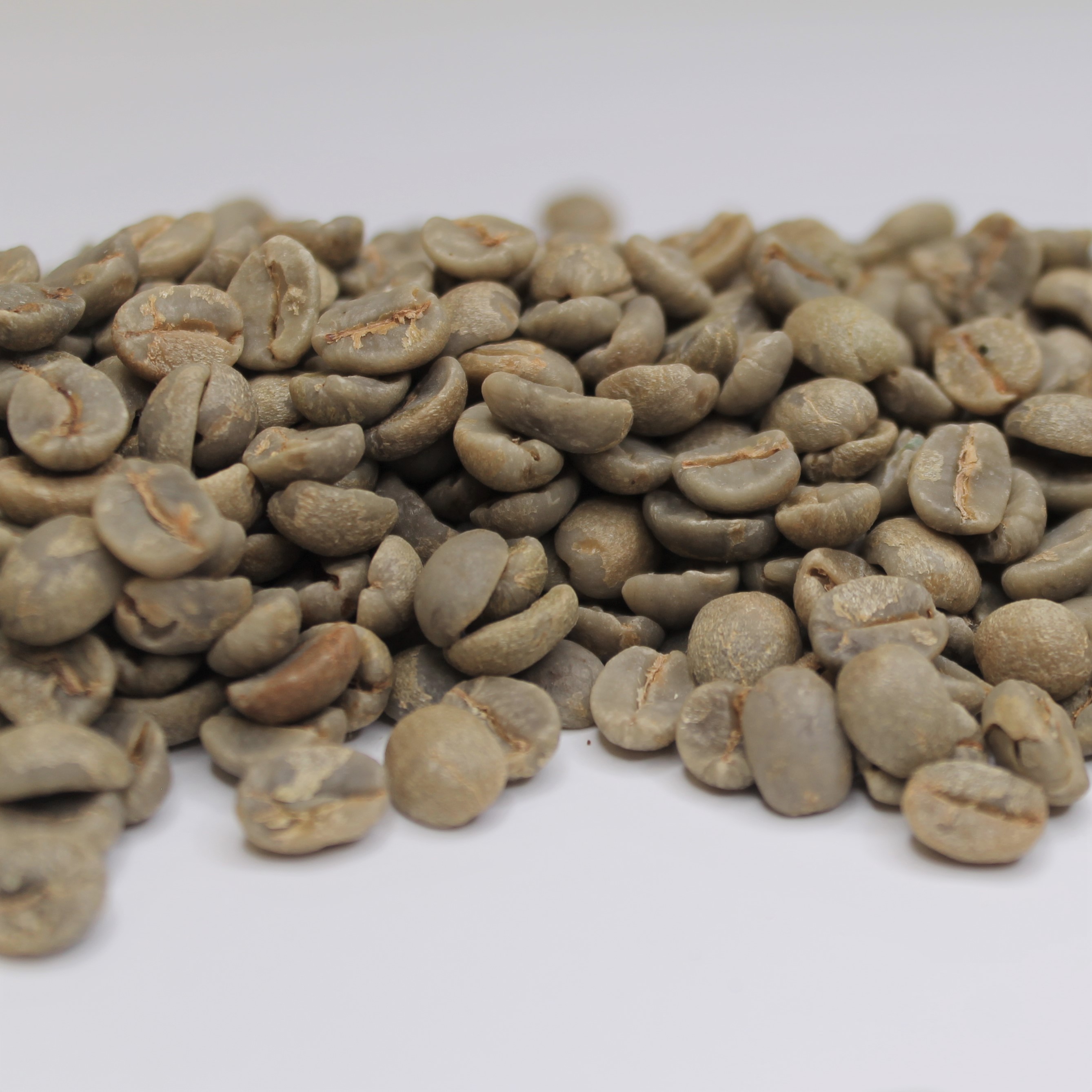 Brazil Oberon Natural 17/18