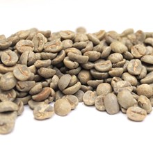 Brazil Oberon Natural 17/18