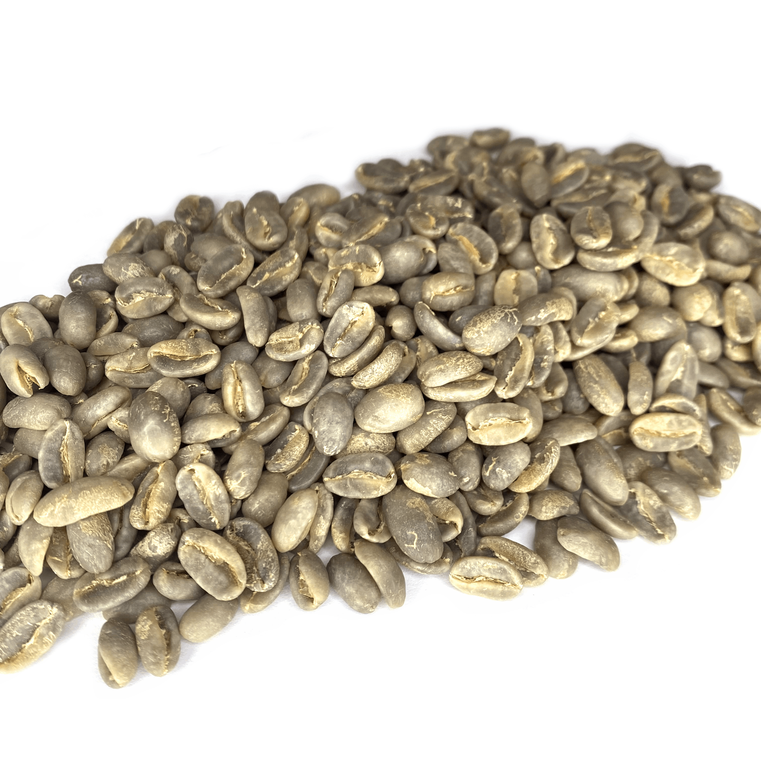 Panama Geisha- 531