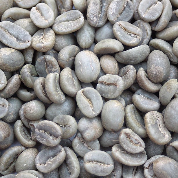 Colombia Reserva Del Patron Narino