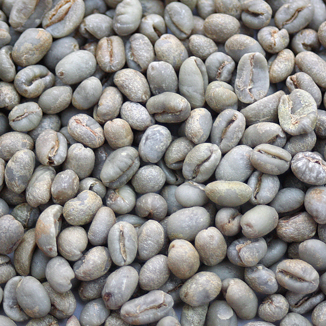 Brazil Daterra Porto Bello Peaberry RFA