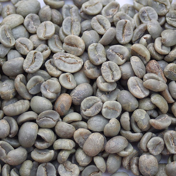 Costa Rica: La Magnolia, Tres Rios