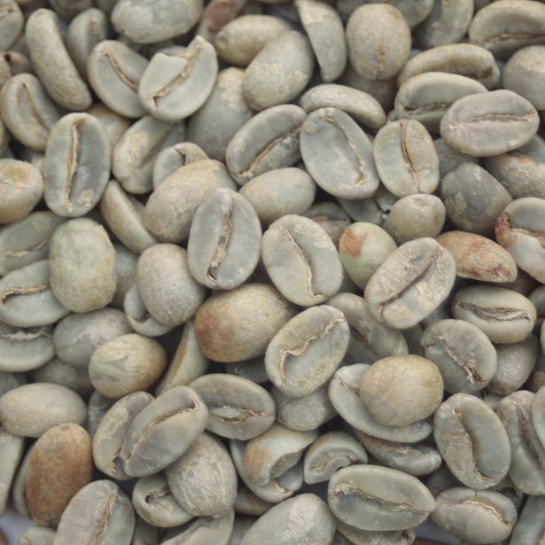 Organic Cepco Oaxaca