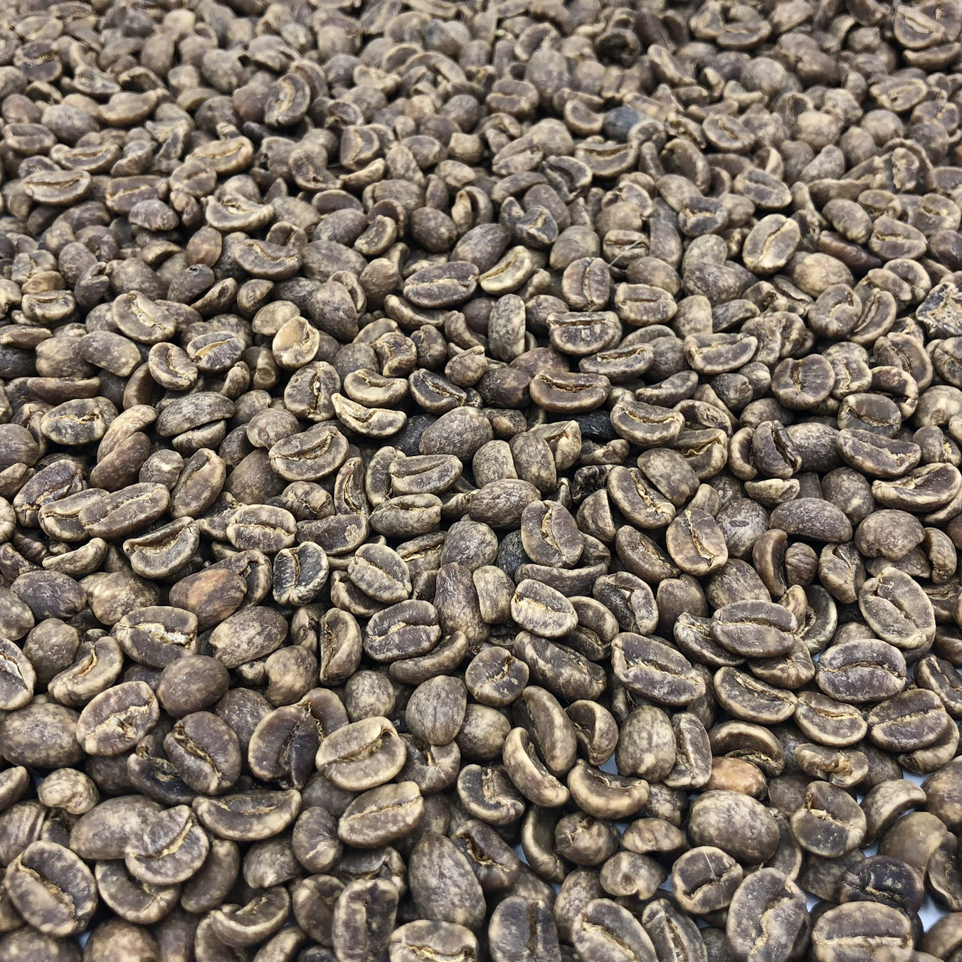 Peru Organic Royal Select Decaf - PERUORGRSDCF