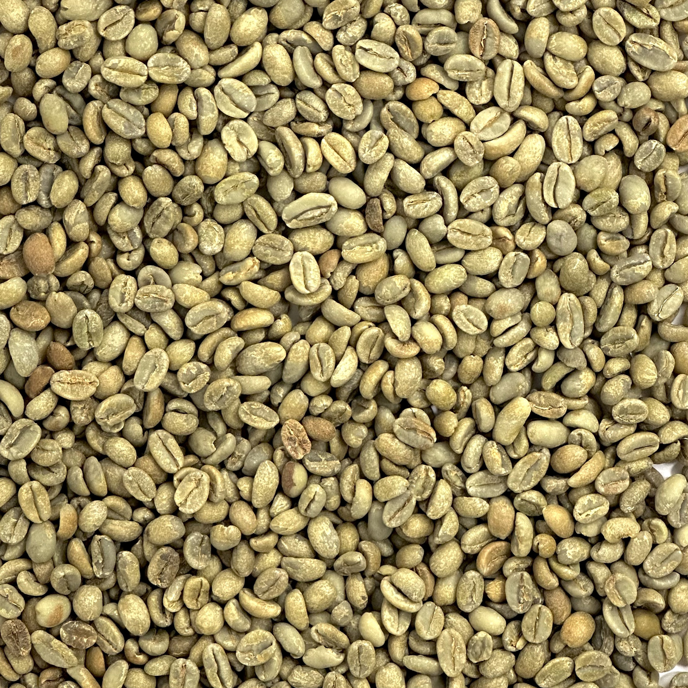 Ethiopia Natural Sidamo Durato Bombe Grade 1