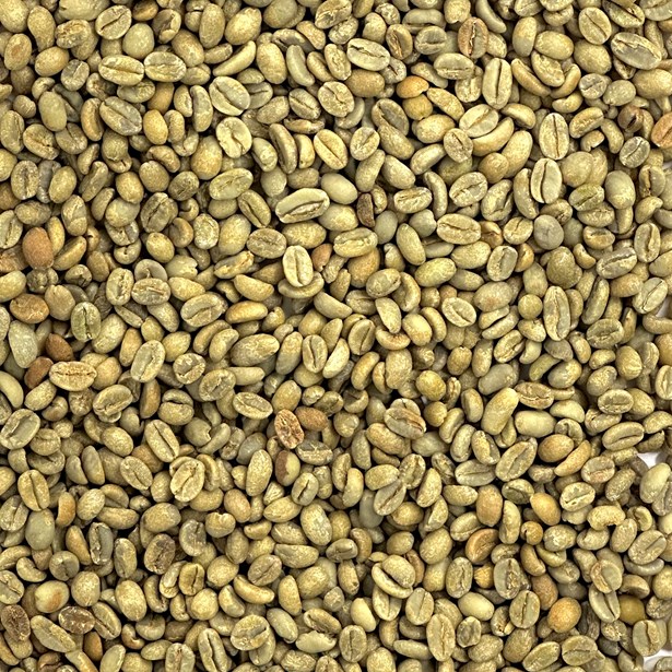 Ethiopia: Durato Bombe, Sidamo