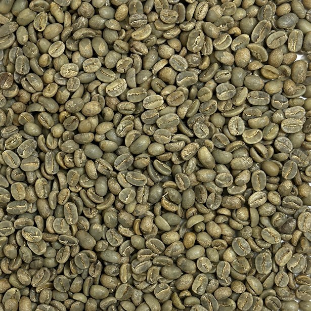 Organic Cafe Timor Coop