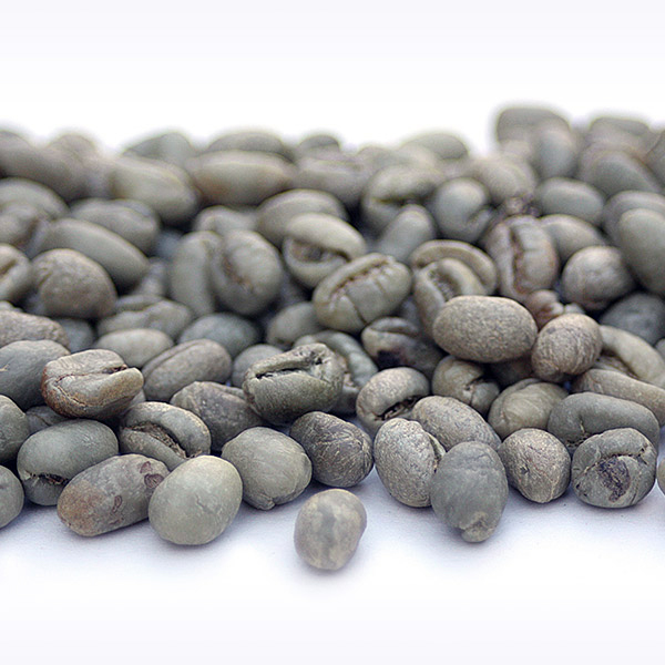 Dominican Republic Organic Peaberry coffee bean DOMRAMZPEAORG
